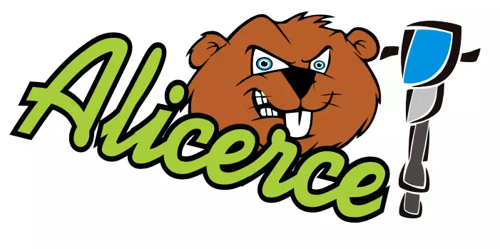 Alicerce Locacao De Equipamentos E Maquinas